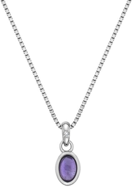 Hot Diamonds Stříbrný náhrdelník pro narozené v únoru Birthstone DP755