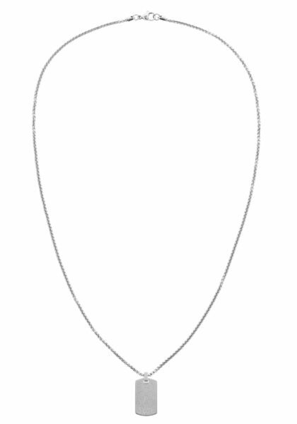 Tommy Hilfiger Stylový ocelový náhrdelník s přívěskem ve tvaru psí známky 2790359